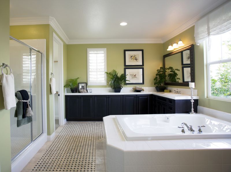Updated Master Bath Design